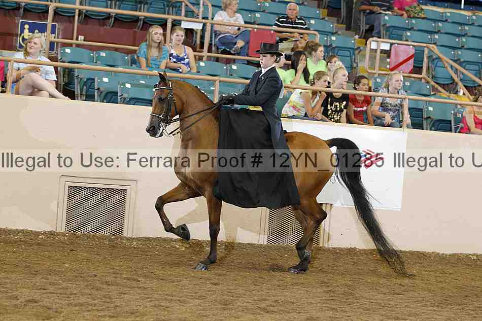 Proof 12yn_01285