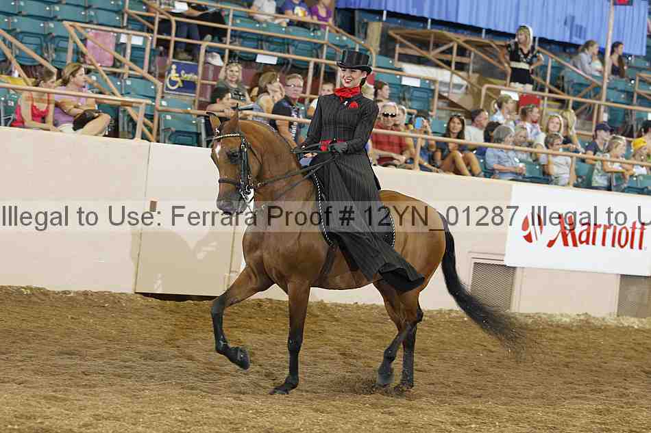 Proof 12yn_01287