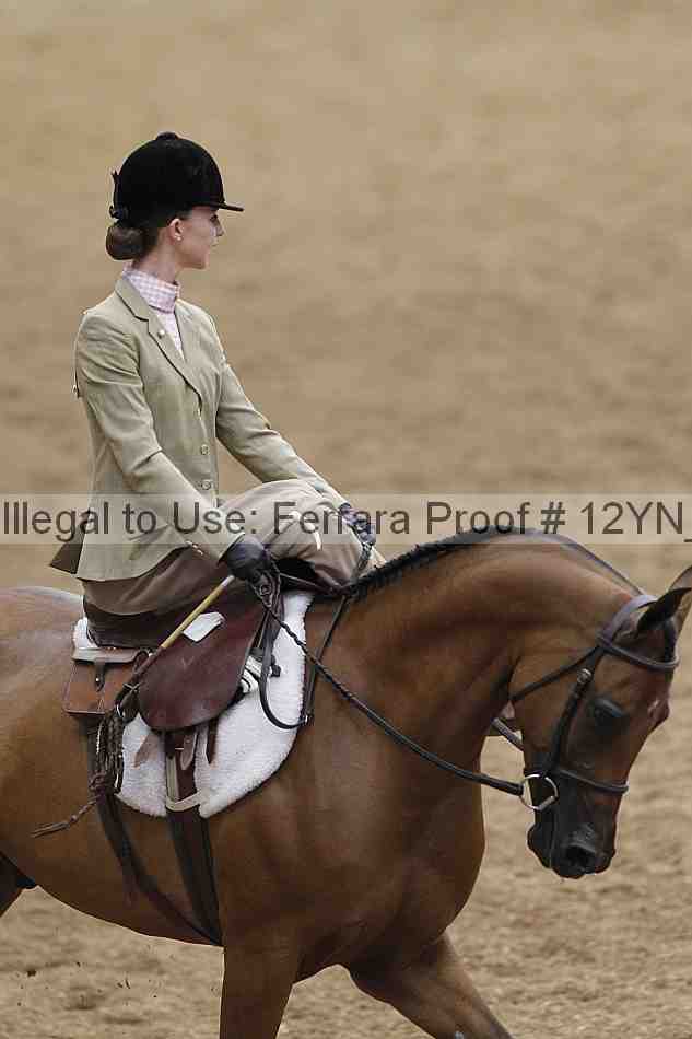Proof 12yn_01289