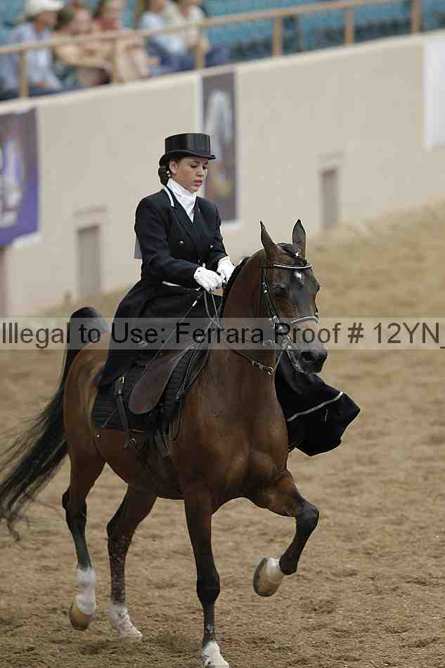 Proof 12yn_01295