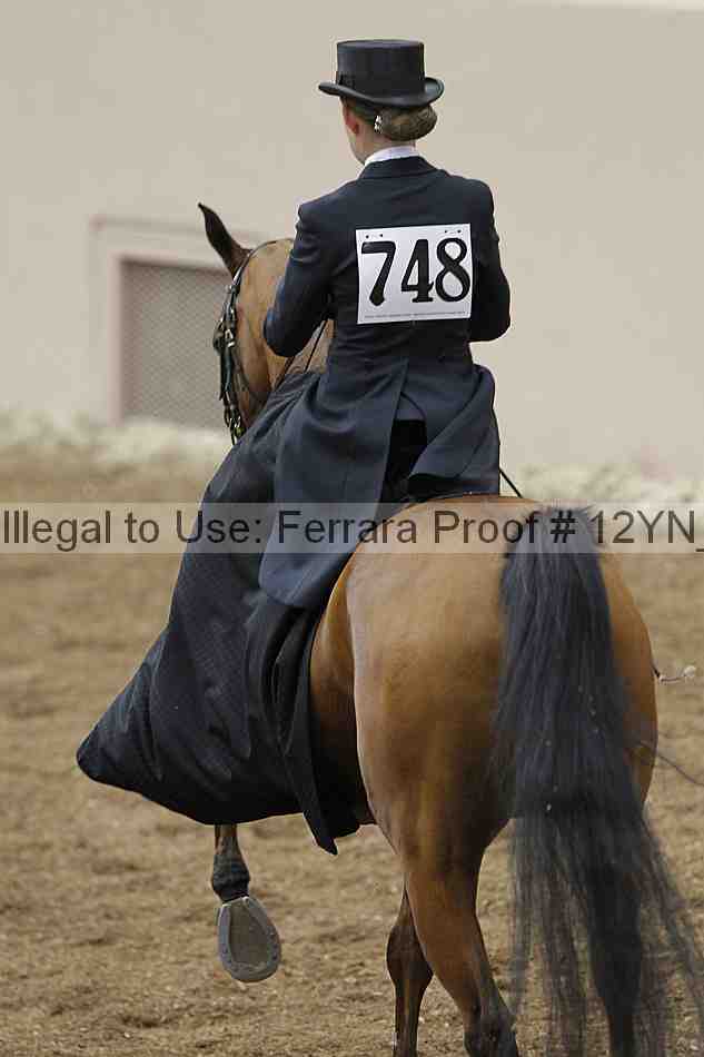 Proof 12yn_01299