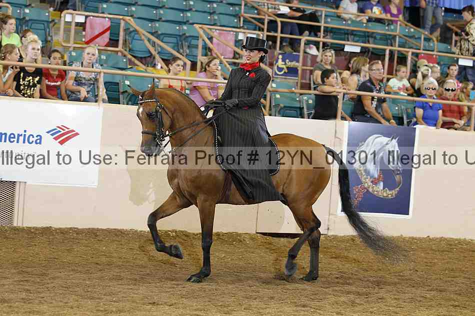 Proof 12yn_01301
