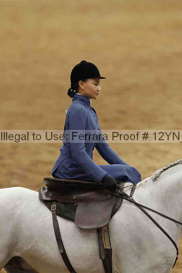 Proof 12yn_01303