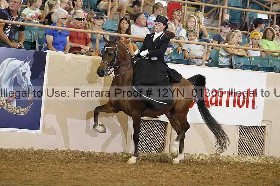 Proof 12yn_01305