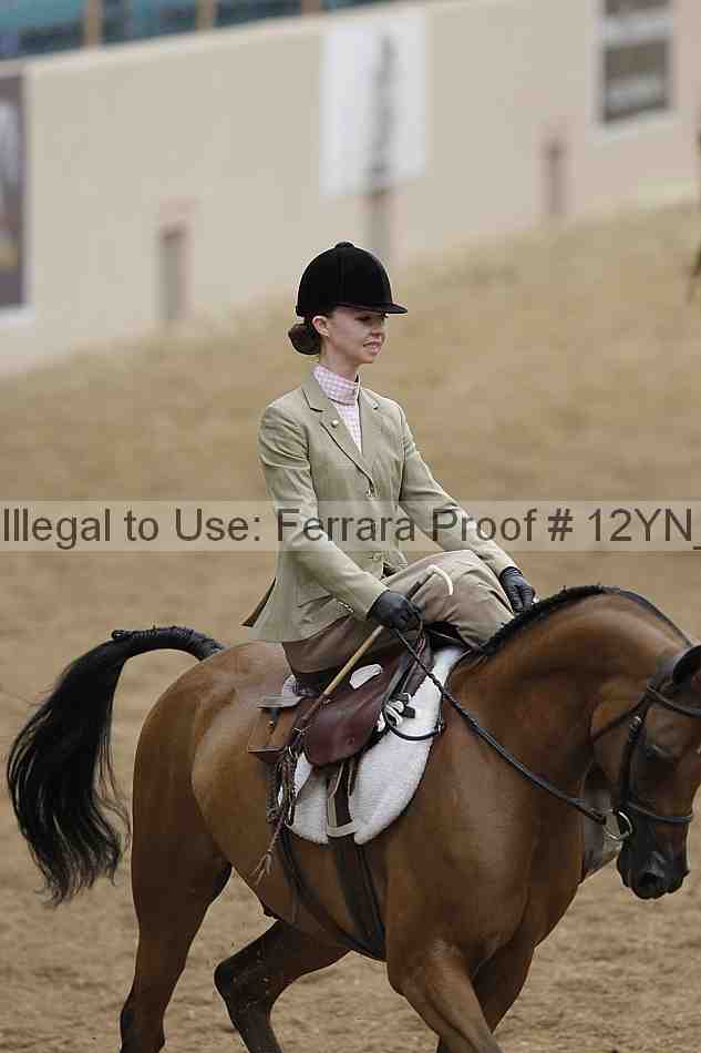 Proof 12yn_01306