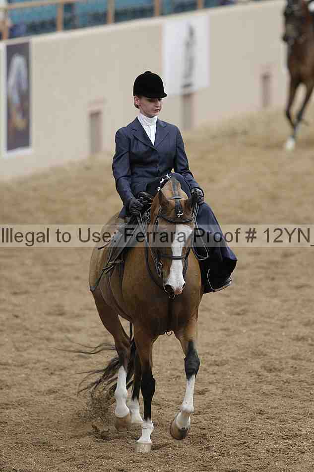 Proof 12yn_01307