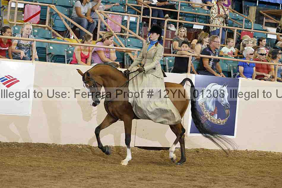 Proof 12yn_01308