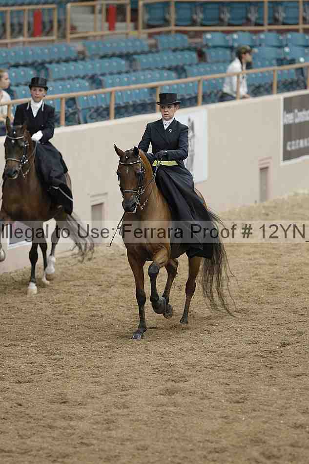 Proof 12yn_01309