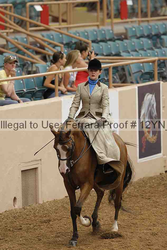 Proof 12yn_01316