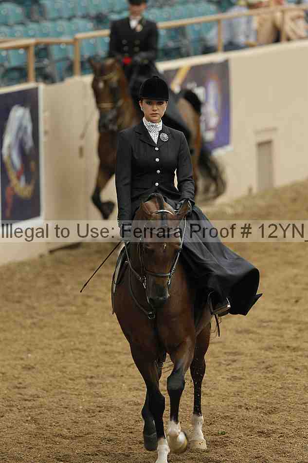 Proof 12yn_01319