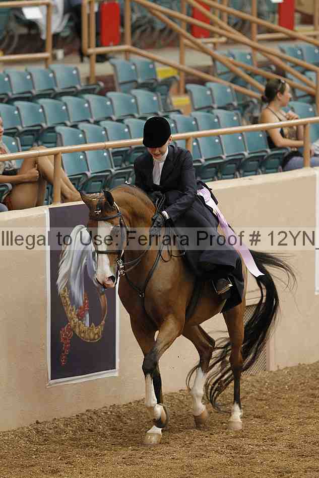 Proof 12yn_01337