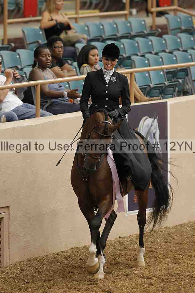 Proof 12yn_01339
