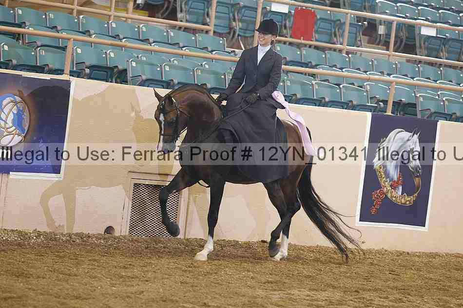Proof 12yn_01341
