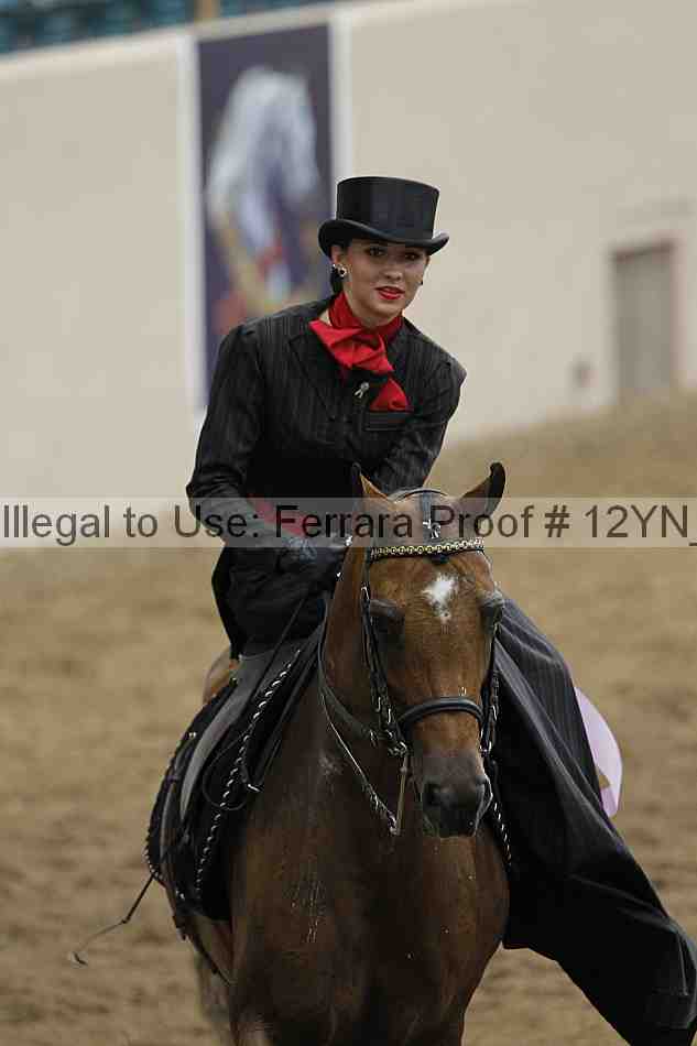 Proof 12yn_01357