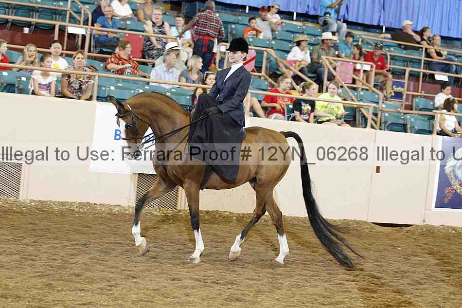 Proof 12yn_06268