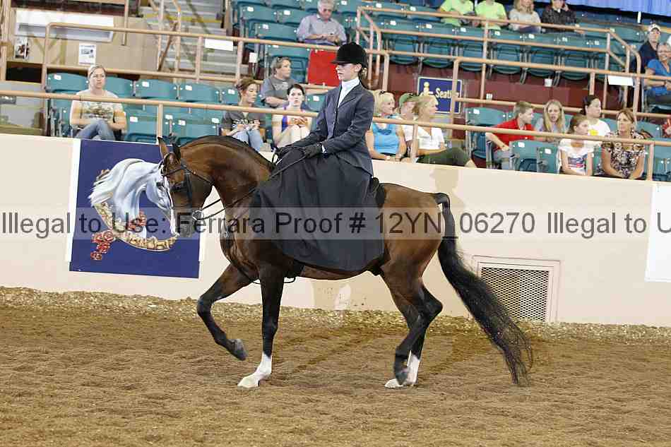 Proof 12yn_06270