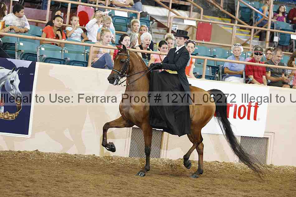 Proof 12yn_06272