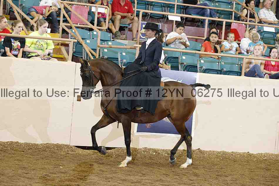 Proof 12yn_06275