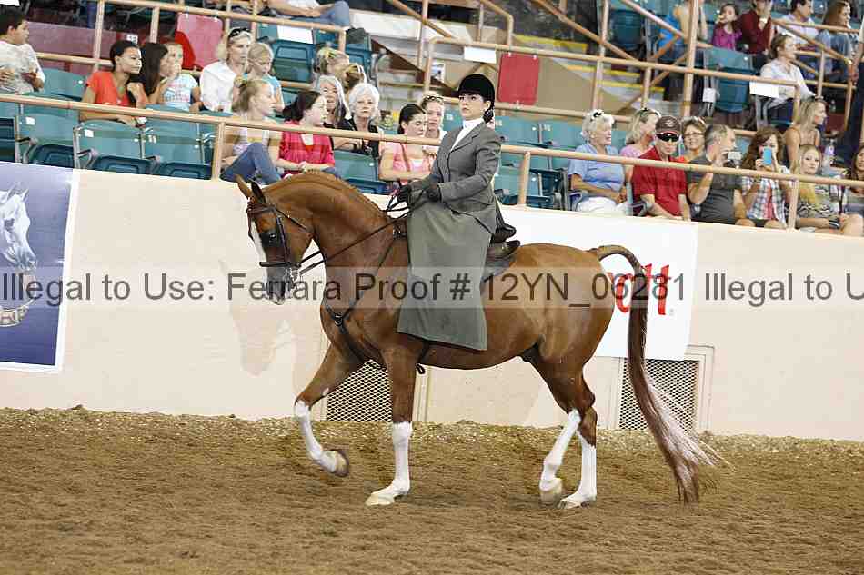 Proof 12yn_06281