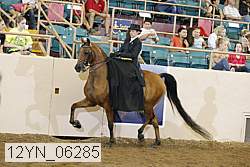 12yn_06285 proof