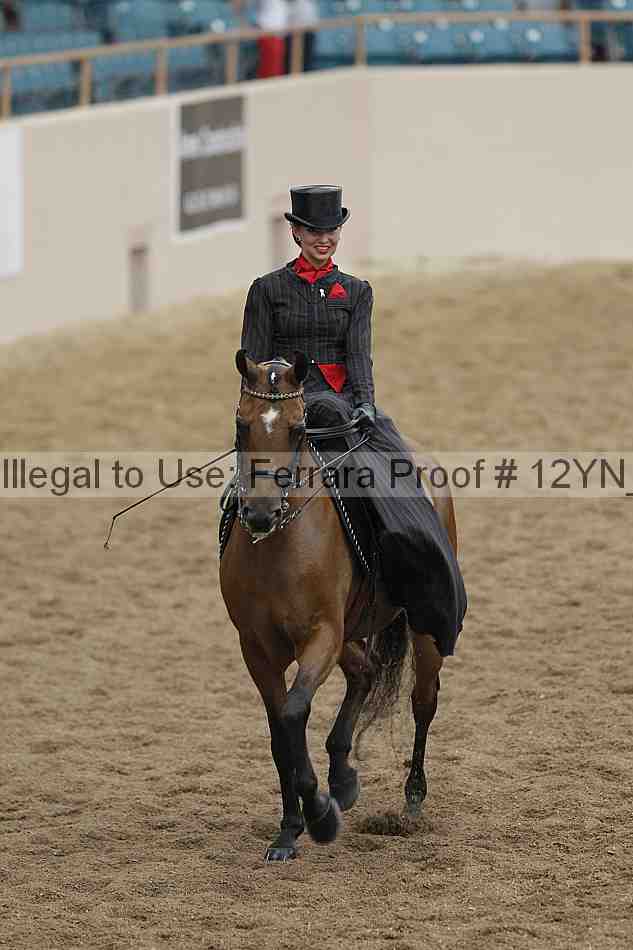 Proof 12yn_06286