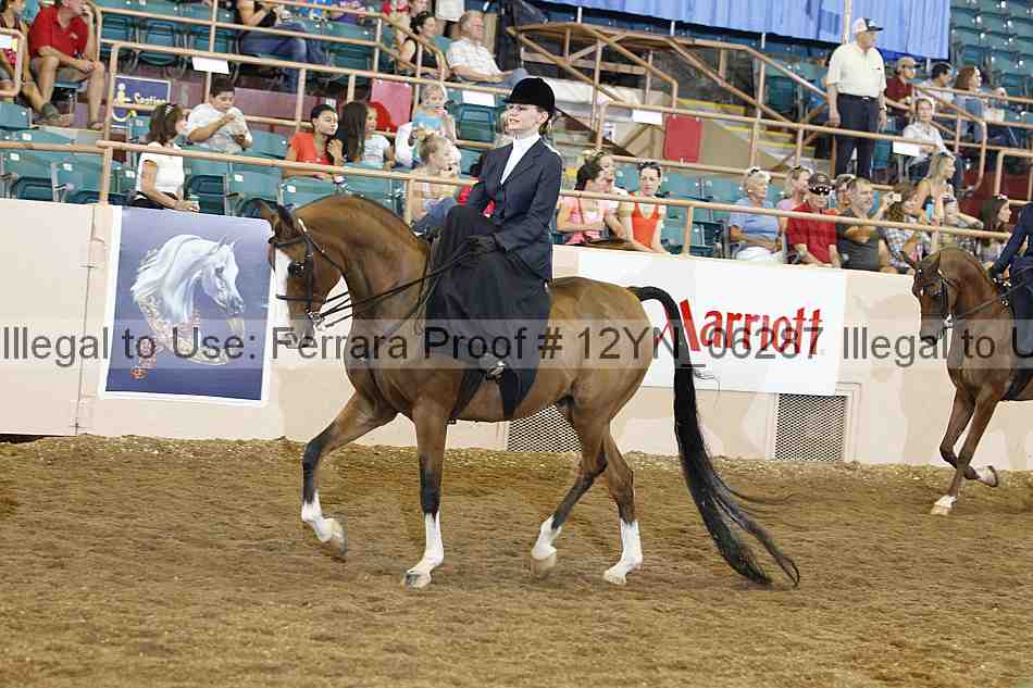 Proof 12yn_06287