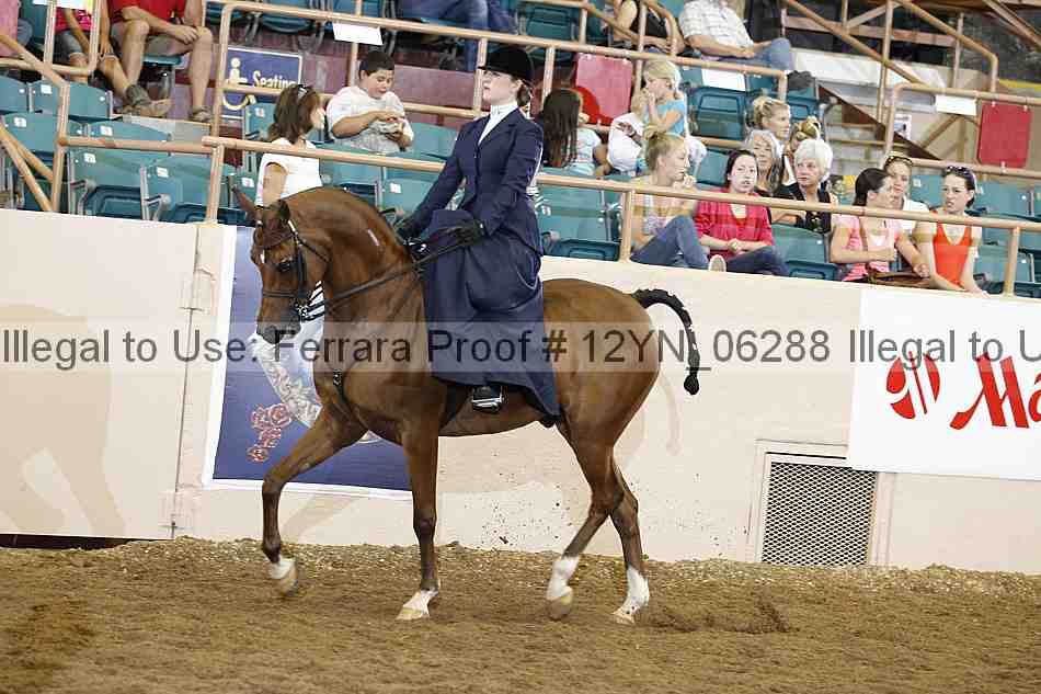 Proof 12yn_06288