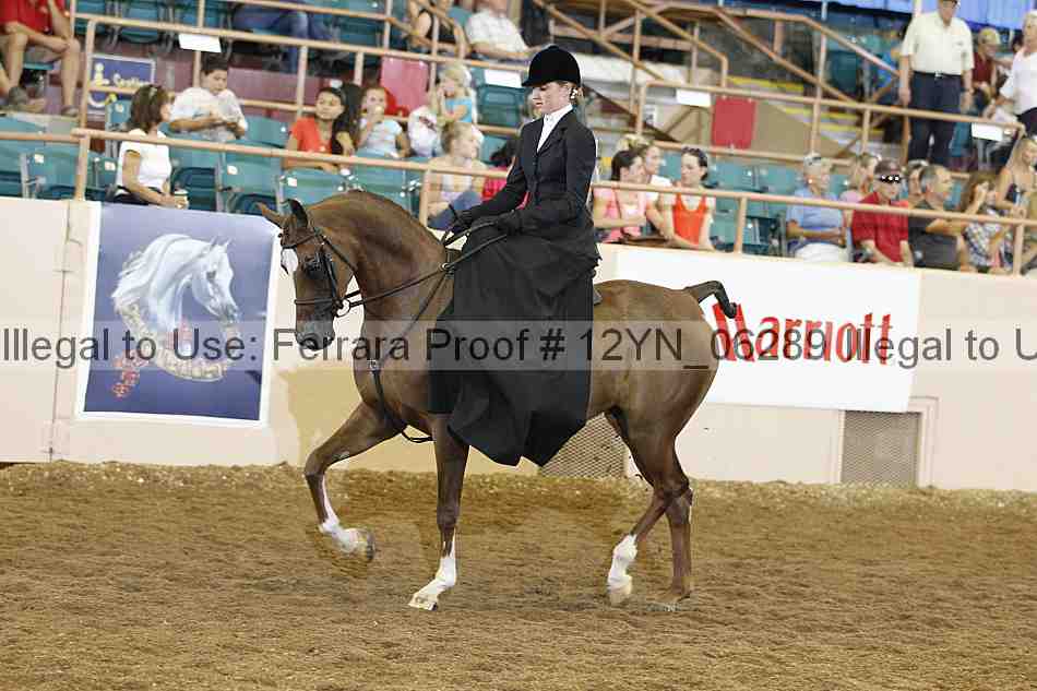 Proof 12yn_06289