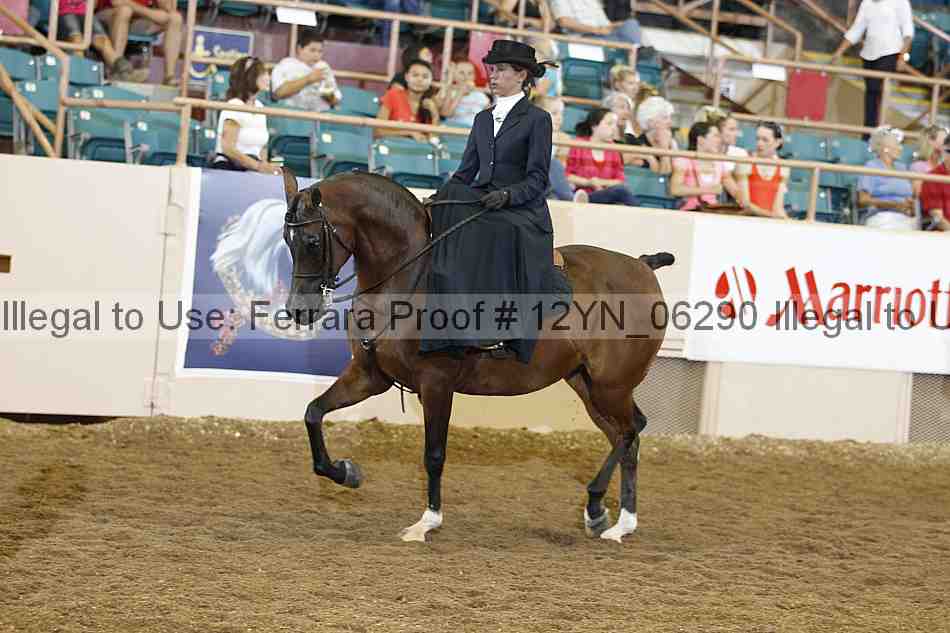 Proof 12yn_06290