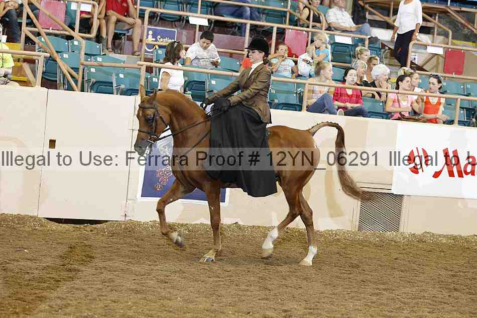 Proof 12yn_06291