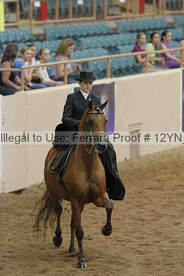 Proof 12yn_06293
