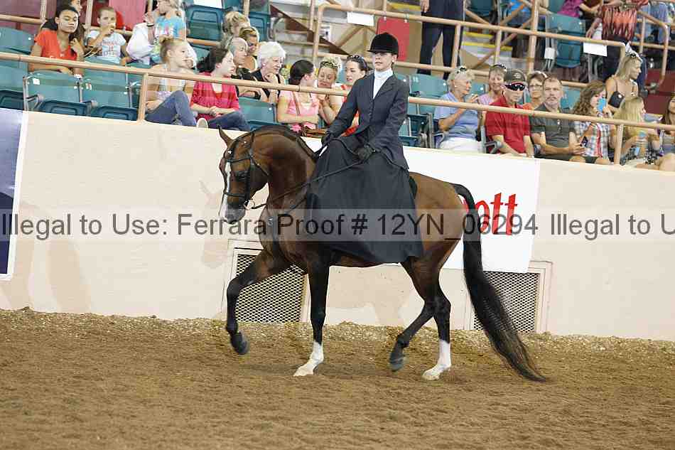 Proof 12yn_06294