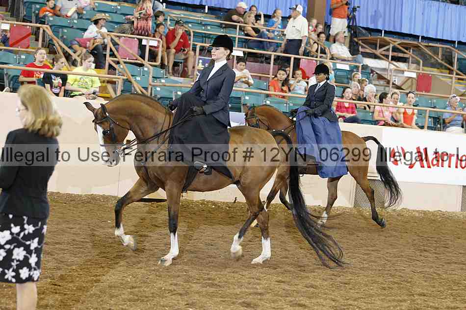 Proof 12yn_06299