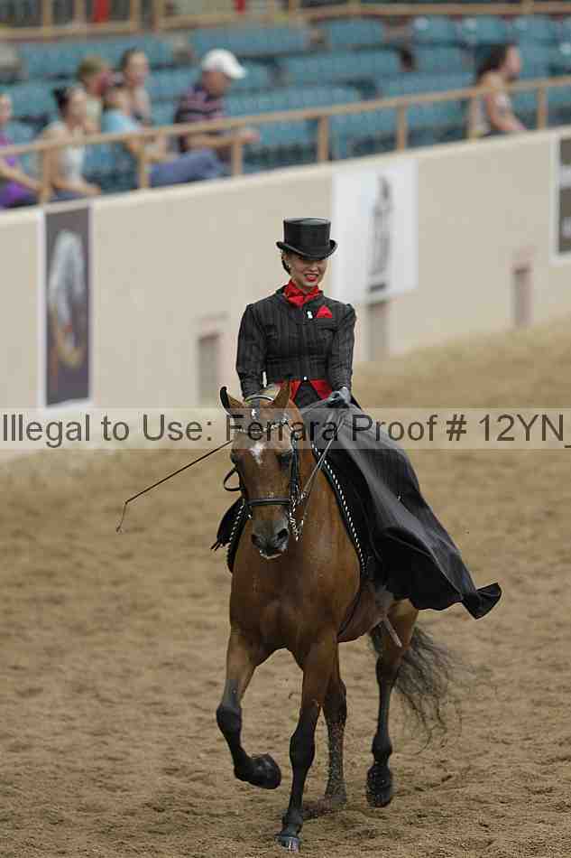 Proof 12yn_06300