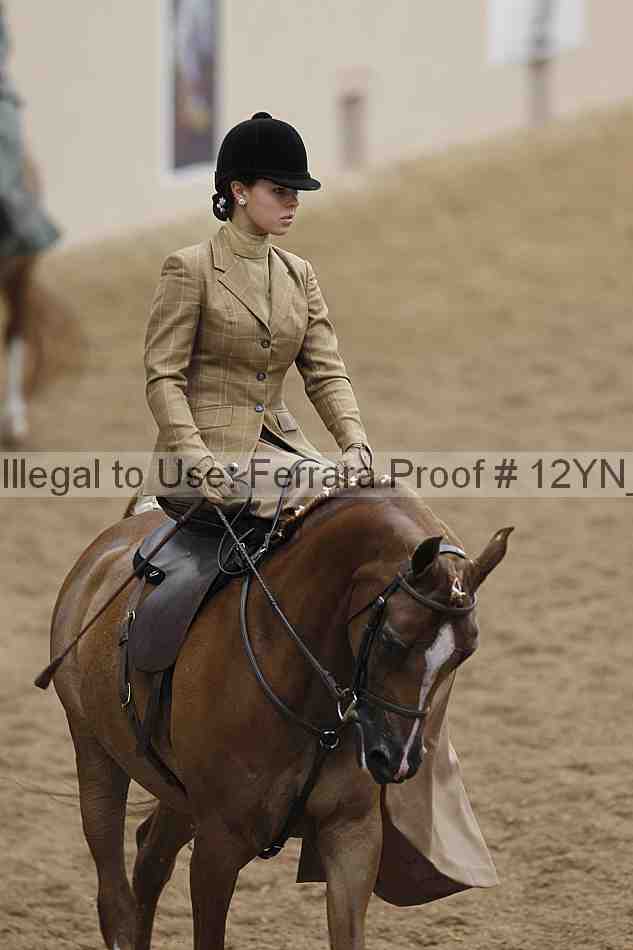 Proof 12yn_06304