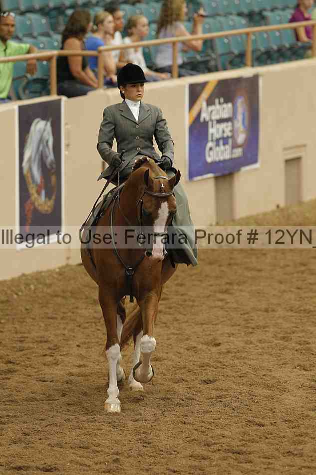 Proof 12yn_06305