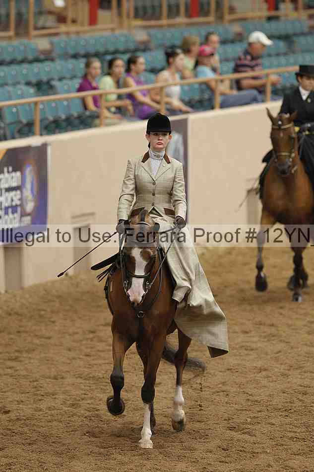 Proof 12yn_06306