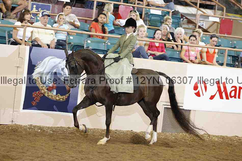 Proof 12yn_06307