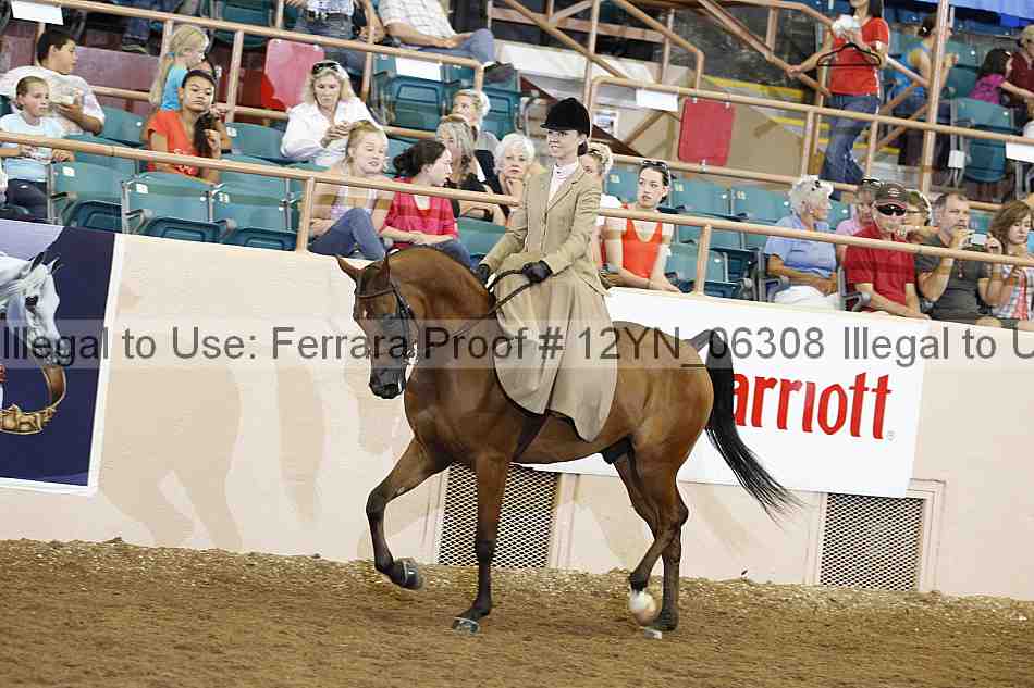 Proof 12yn_06308