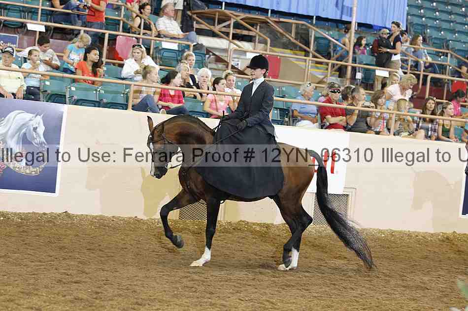 Proof 12yn_06310