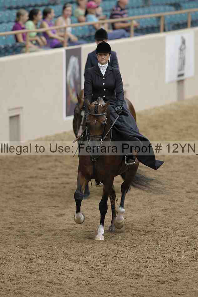 Proof 12yn_06312