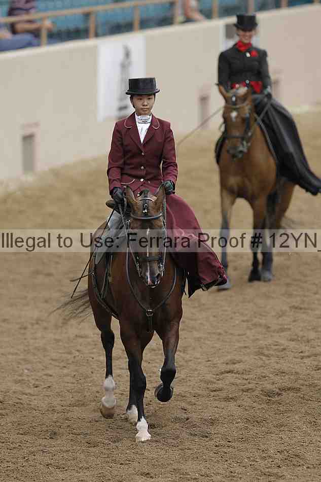 Proof 12yn_06315