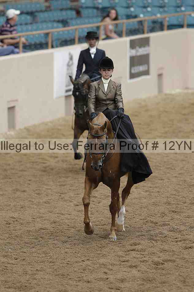 Proof 12yn_06316