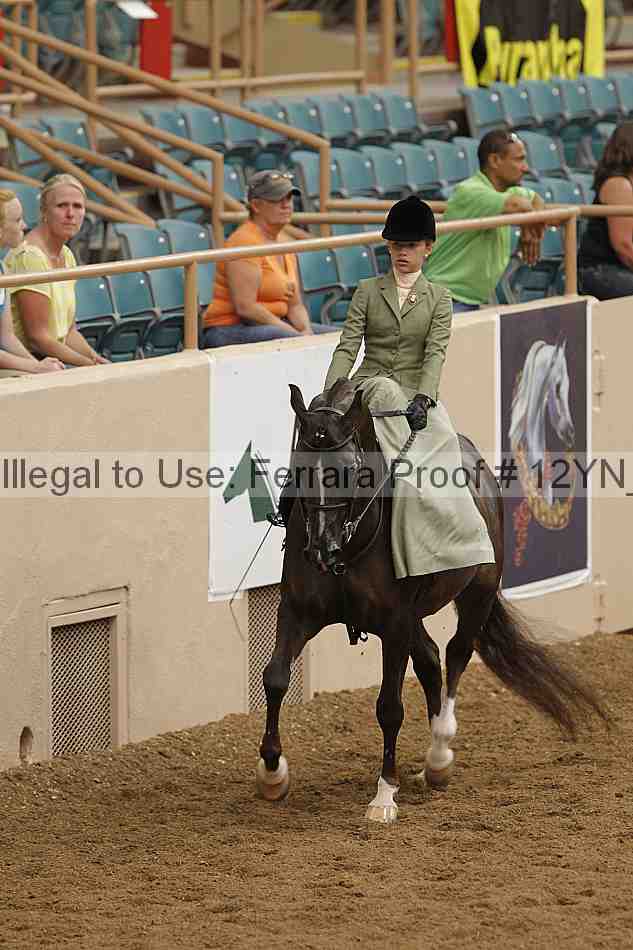Proof 12yn_06317