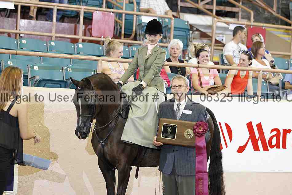 Proof 12yn_06325