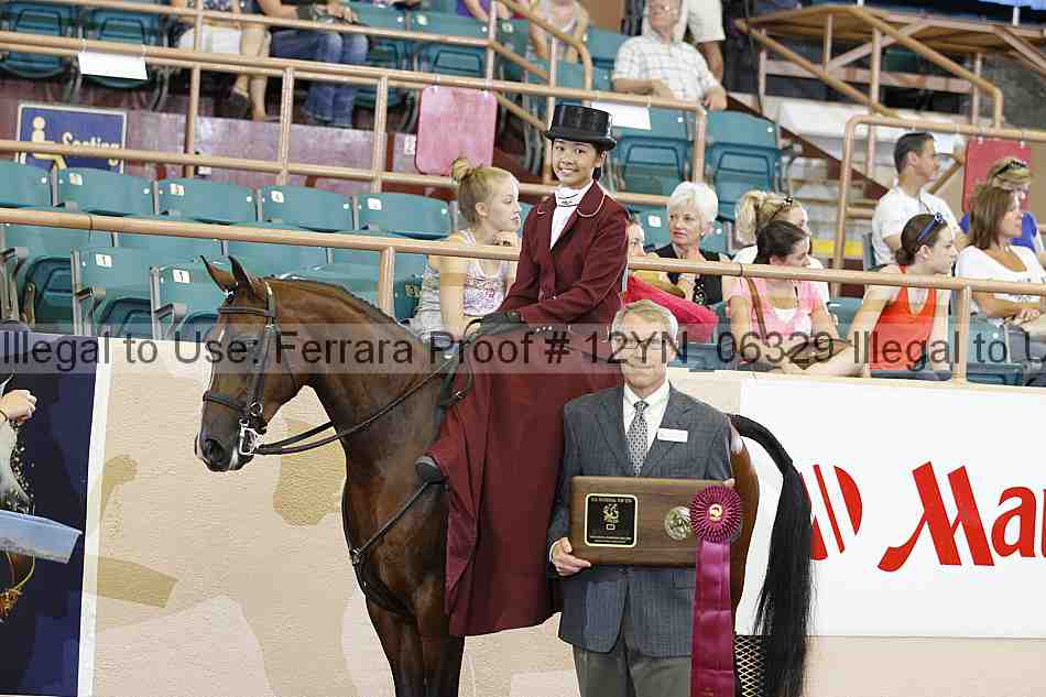 Proof 12yn_06329