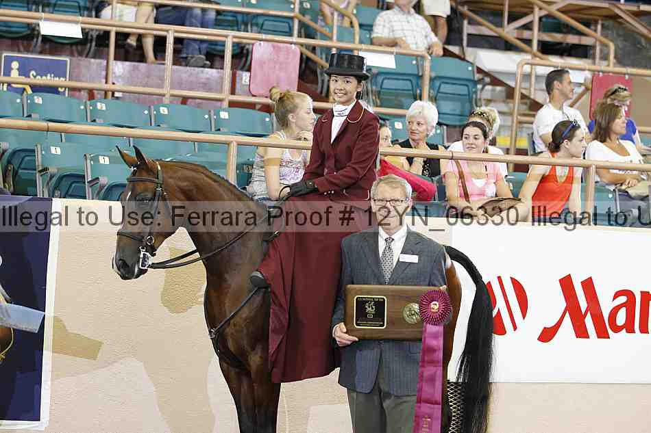 Proof 12yn_06330