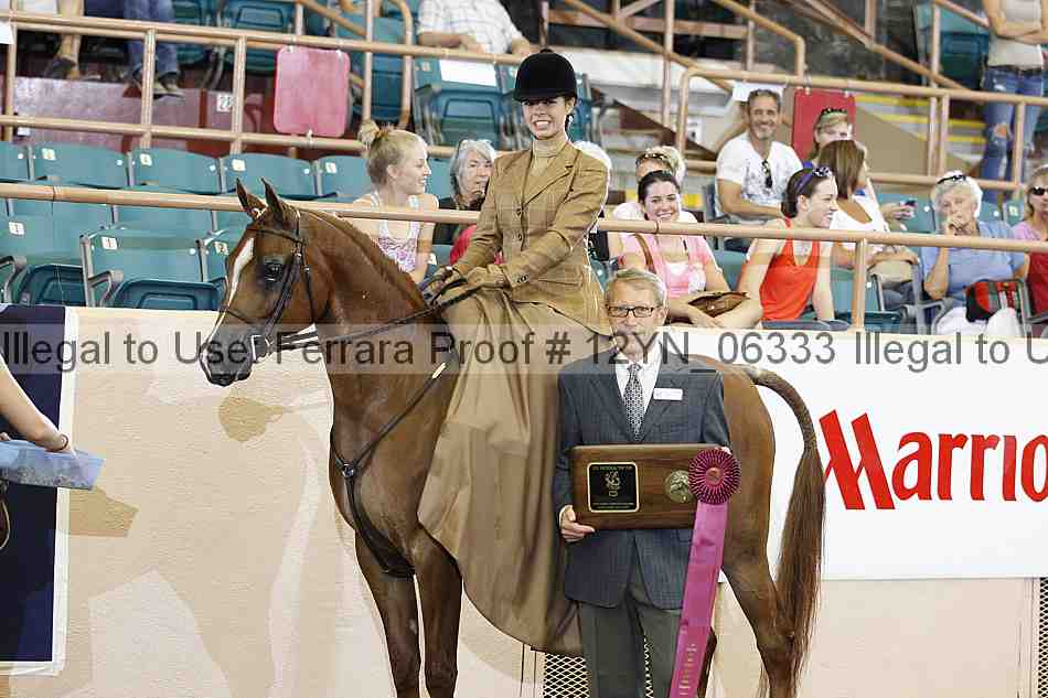 Proof 12yn_06333