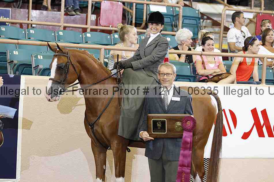 Proof 12yn_06335
