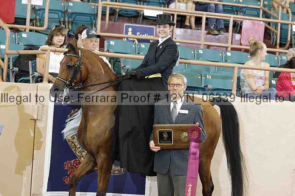 Proof 12yn_06339